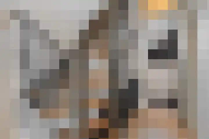 Weeresteinstraat 71 Hillegom thumbnail 25
