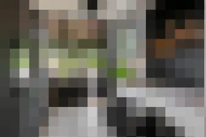 Weeresteinstraat 71 Hillegom thumbnail 4