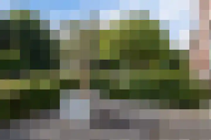 Weeresteinstraat 71 Hillegom thumbnail 7
