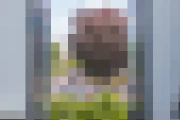 Weeresteinstraat 91 Hillegom thumbnail 24