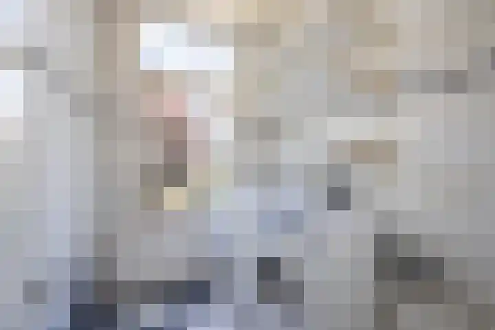Weeresteinstraat 91 Hillegom thumbnail 26