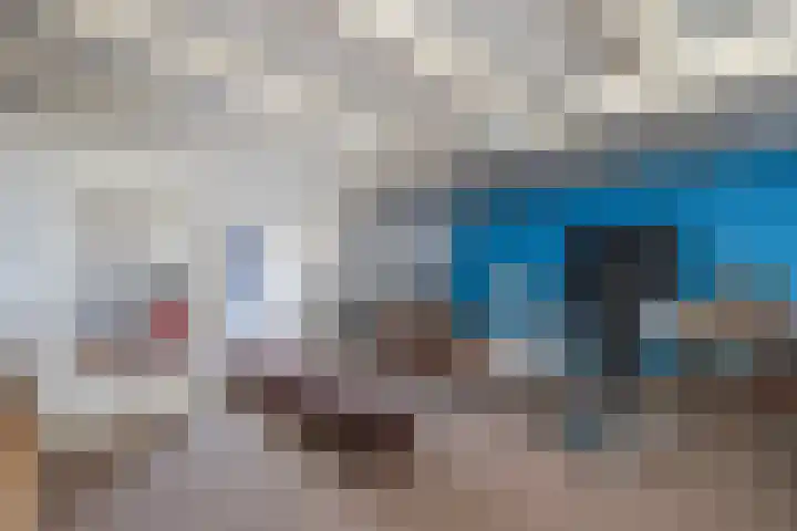 Weeresteinstraat 91 Hillegom thumbnail 29