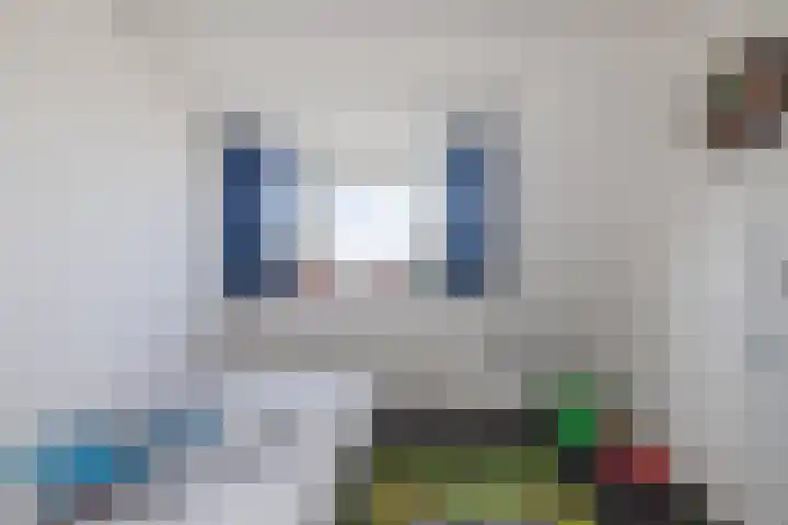 Weeresteinstraat 91 Hillegom thumbnail 31
