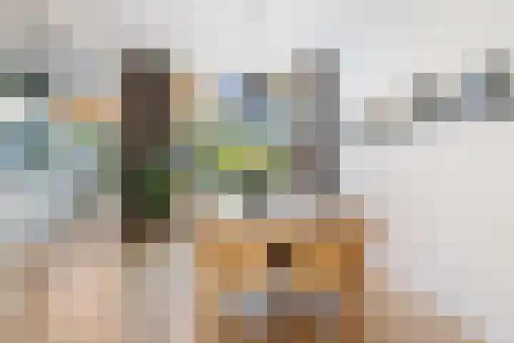 Weerijssingel 38 Breda thumbnail 10