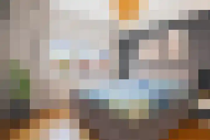 Weerijssingel 38 Breda thumbnail 22