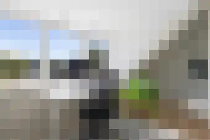 Weerijssingel 38 Breda thumbnail 36