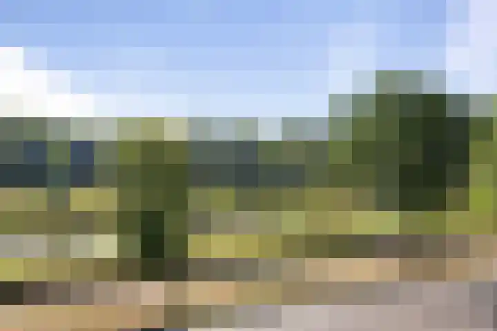 Weerijssingel 38 Breda thumbnail 37