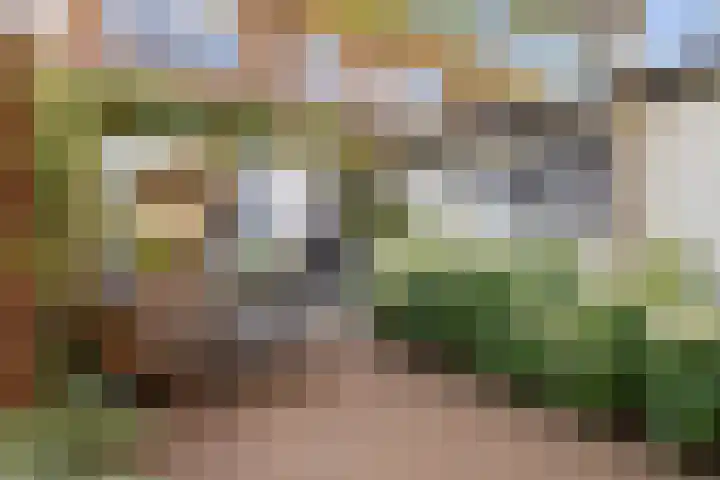 Weerijssingel 38 Breda thumbnail 4