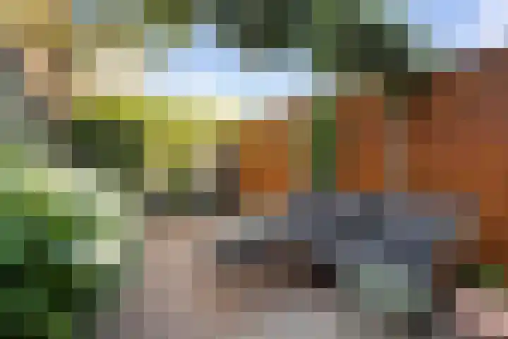 Weerijssingel 38 Breda thumbnail 44