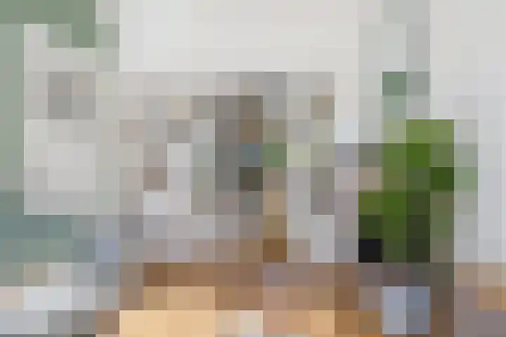 Weerijssingel 38 Breda thumbnail 7