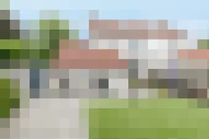 Weerribben 80 Lelystad foto 3