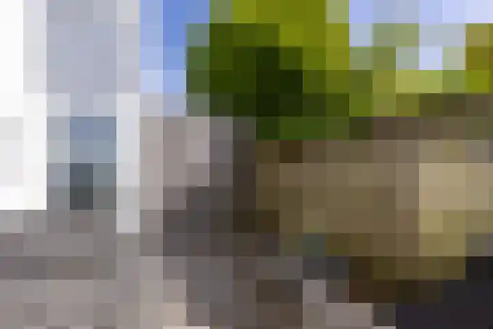 Weerribben 80 Lelystad thumbnail 30