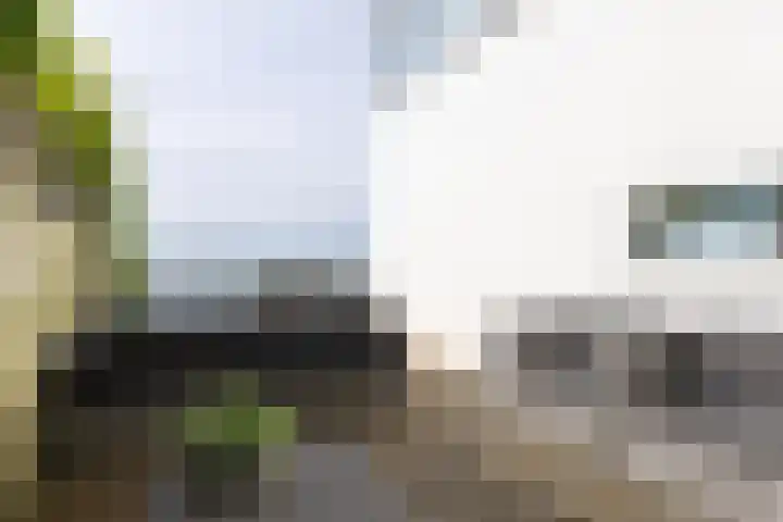 Weerribben 80 Lelystad thumbnail 31