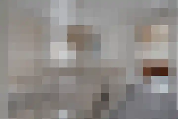 Weerribben 80 Lelystad thumbnail 36