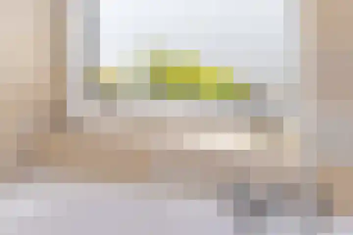 Weerribben 80 Lelystad thumbnail 38