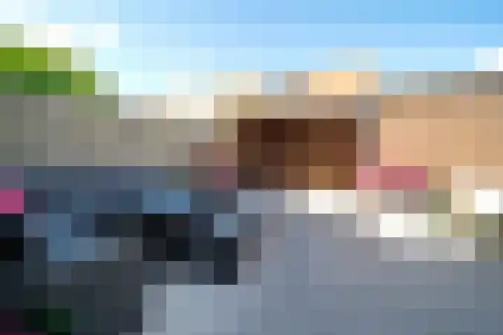 Weerribben 80 Lelystad thumbnail 42