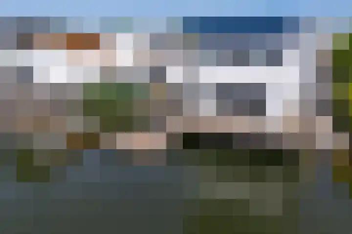 Weerribben 80 Lelystad thumbnail 49