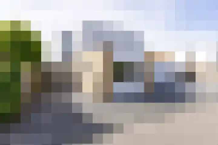 Weerribben 80 Lelystad thumbnail 5