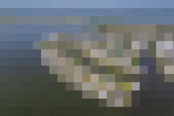 Weerribben 80 Lelystad thumbnail 57