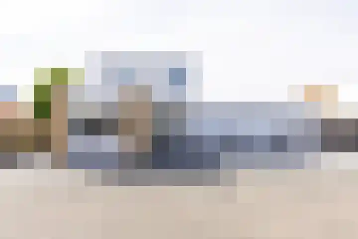 Weerribben 80 Lelystad thumbnail 6