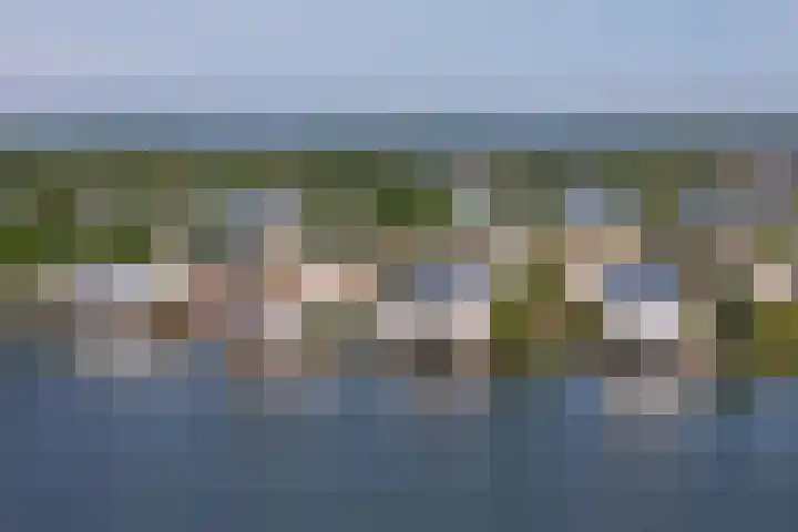 Weerribben 80 Lelystad thumbnail 61