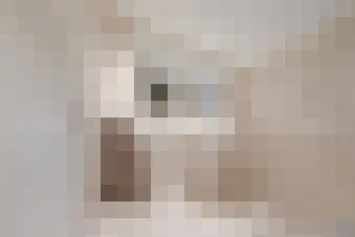 Weerschijnvlinder 6 Breda thumbnail 14