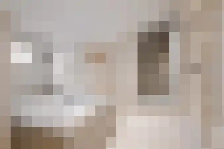 Weerschijnvlinder 6 Breda thumbnail 15