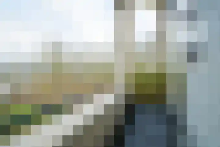 Weerschijnvlinder 6 Breda thumbnail 19