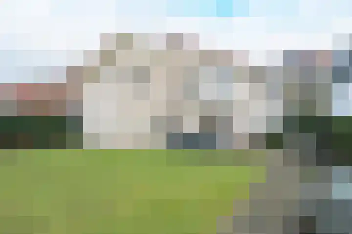 Weerschijnvlinder 6 Breda foto 2