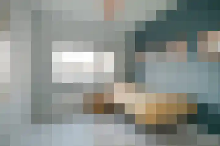 Weerschijnvlinder 6 Breda thumbnail 23