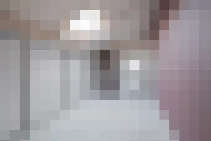 Weerschijnvlinder 6 Breda thumbnail 25