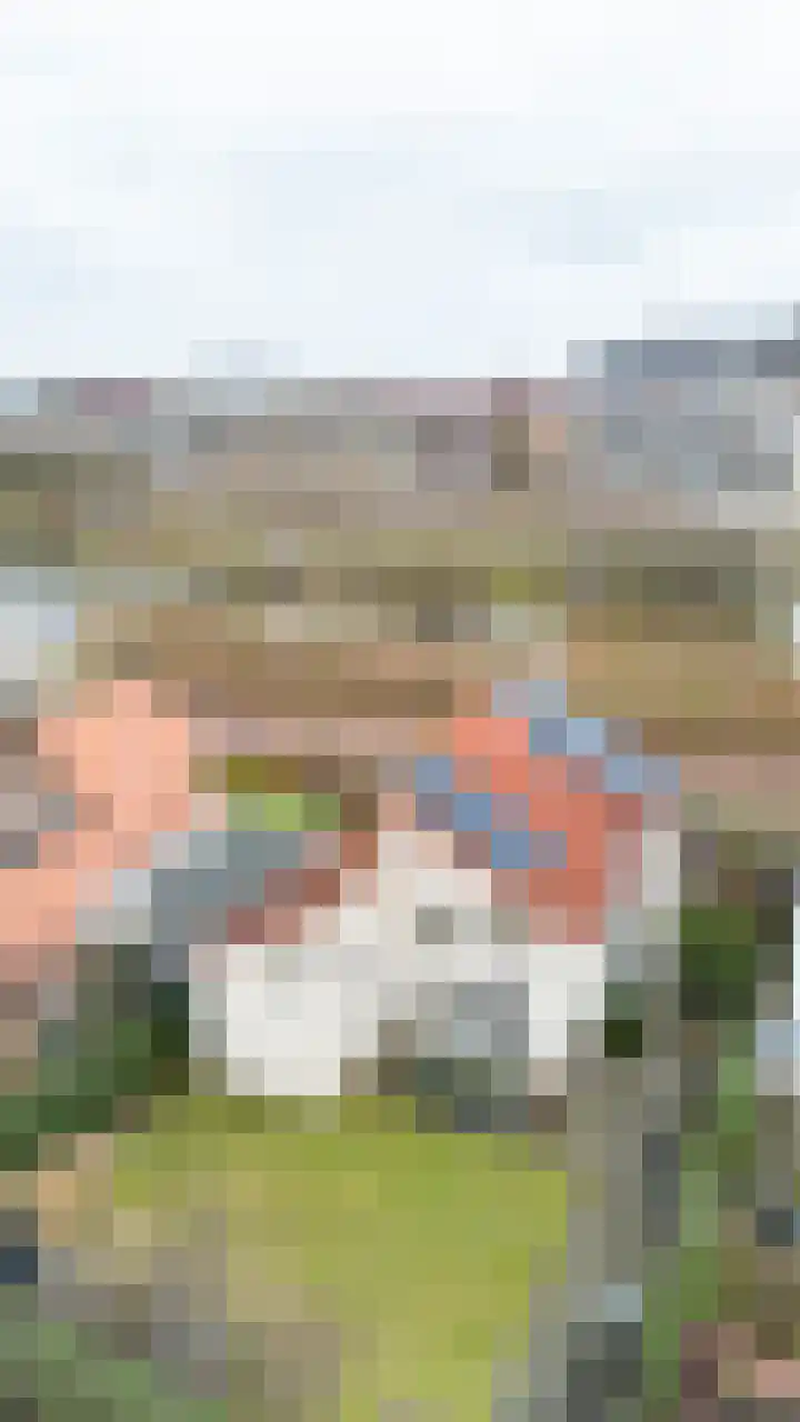Weerschijnvlinder 6 Breda thumbnail 30