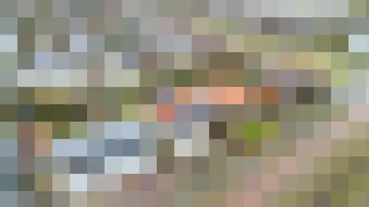 Weerschijnvlinder 6 Breda thumbnail 31