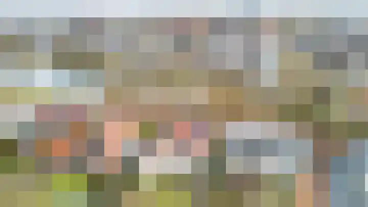 Weerschijnvlinder 6 Breda thumbnail 32