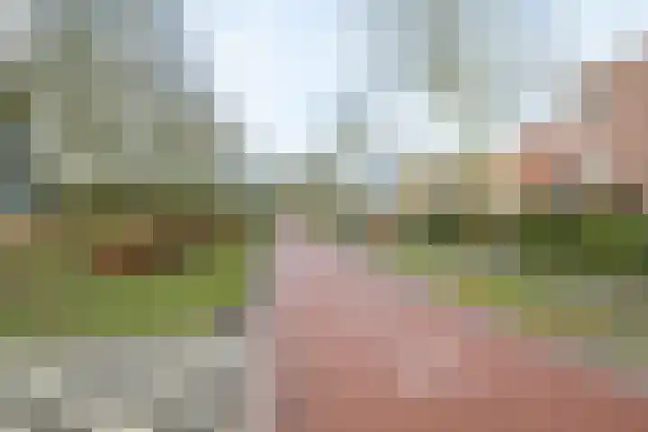 Weerschijnvlinder 6 Breda thumbnail 33