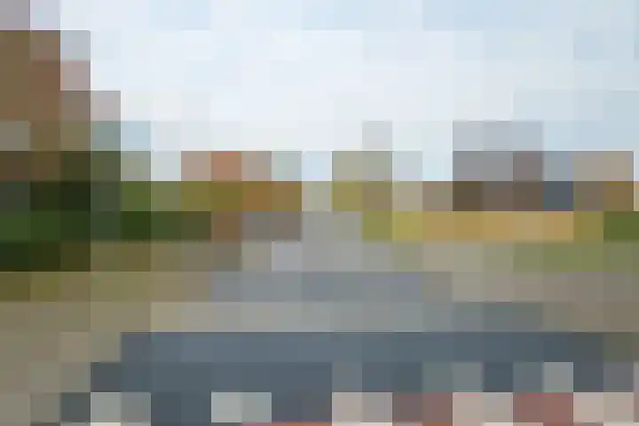 Weerschijnvlinder 6 Breda thumbnail 34