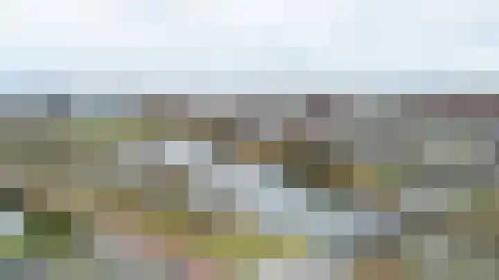 Weerschijnvlinder 6 Breda thumbnail 35
