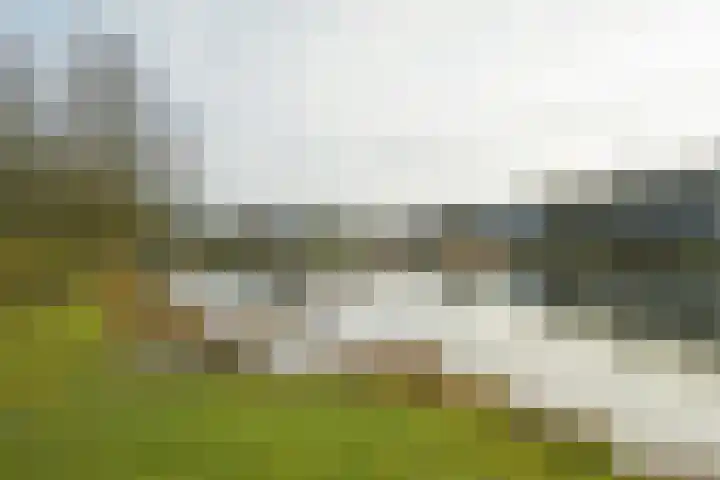 Weerschijnvlinder 6 Breda thumbnail 36