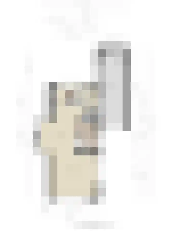 Weerschijnvlinder 6 Breda thumbnail 37