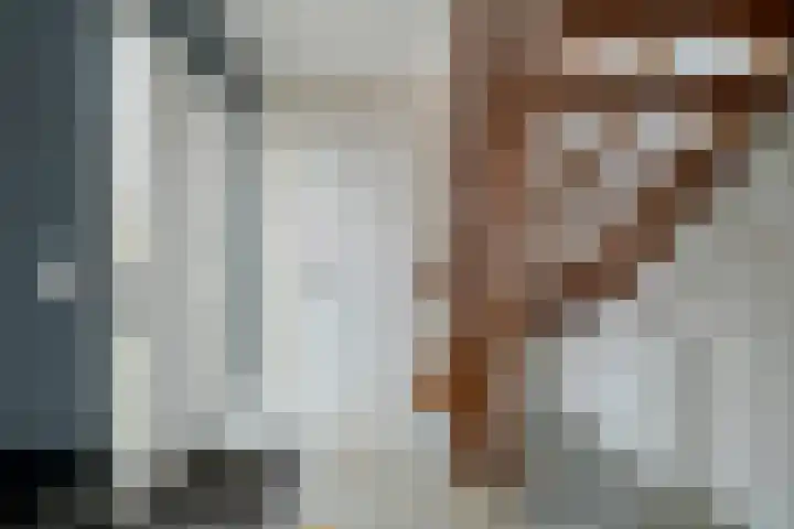 Weerschijnvlinder 6 Breda thumbnail 7
