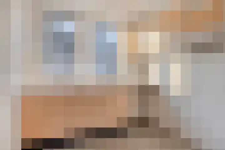 Weerselosestraat 108 Borne thumbnail 13