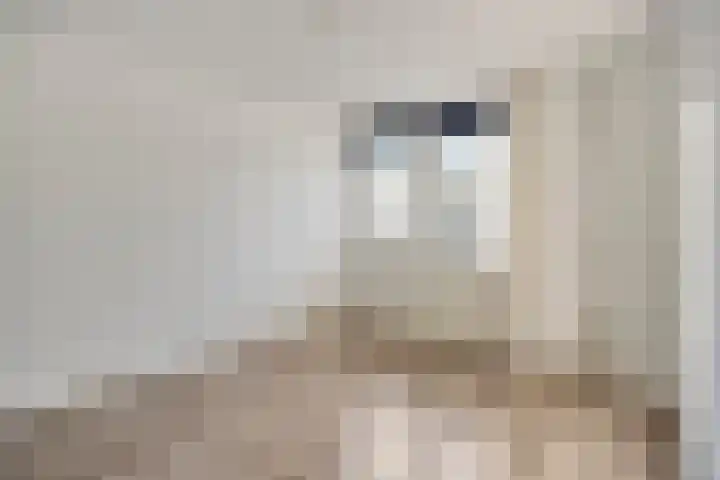 Weerselosestraat 108 Borne thumbnail 17