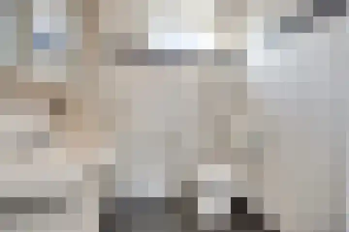 Weerselosestraat 108 Borne thumbnail 24