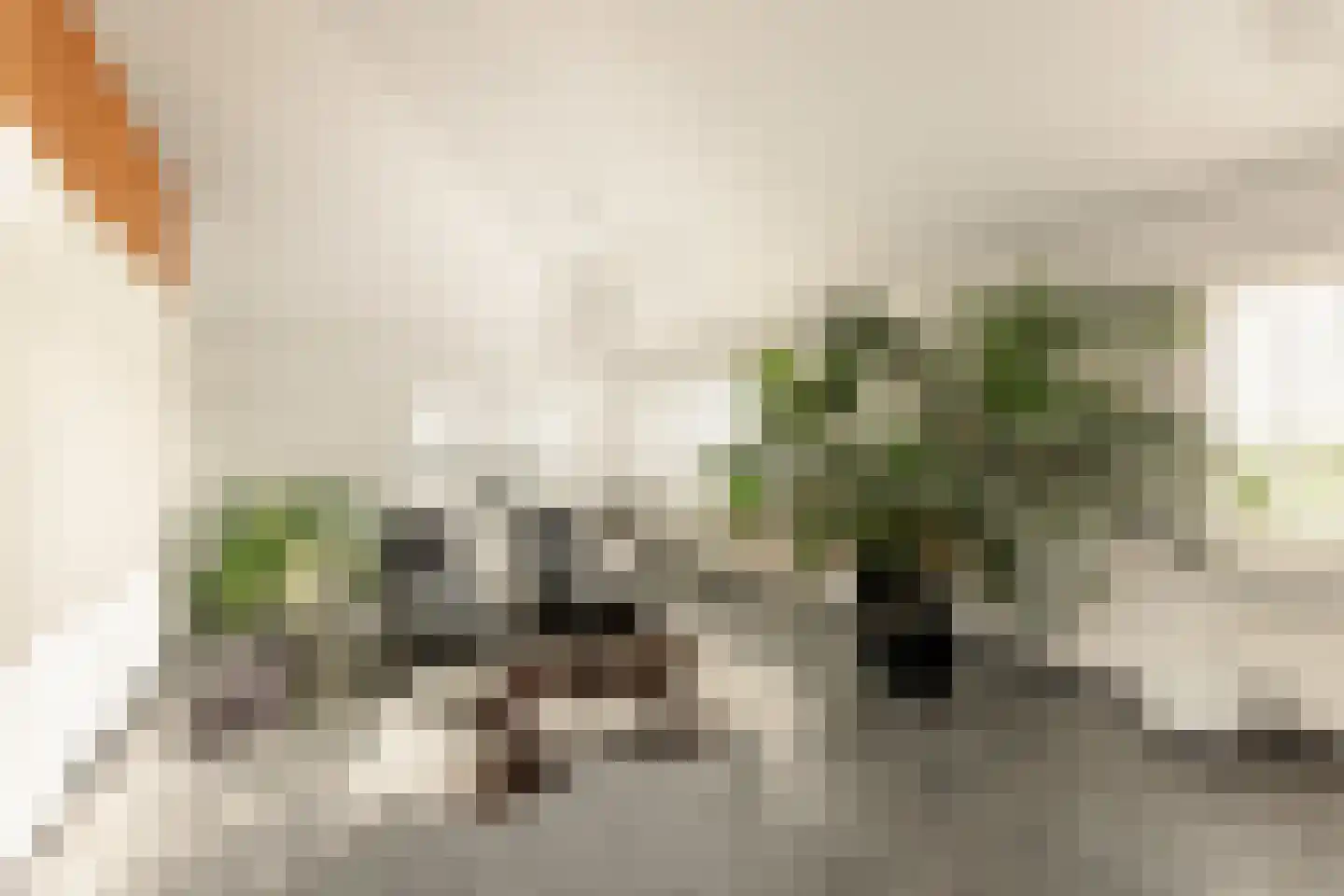 Weersterweg 10 A Wons thumbnail 18