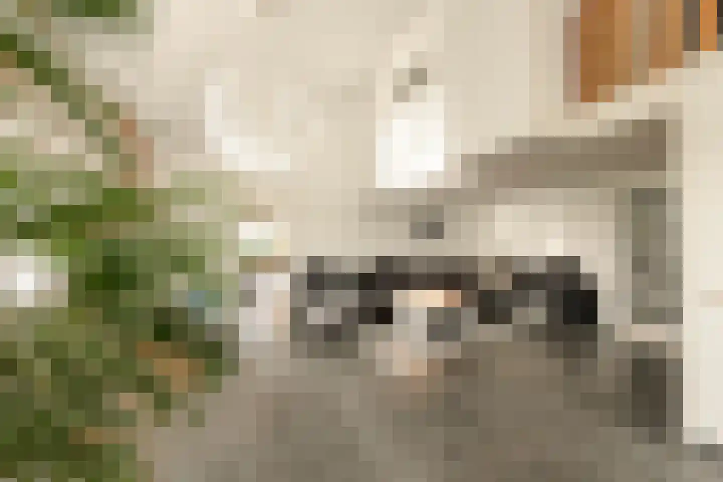 Weersterweg 10 A Wons thumbnail 19