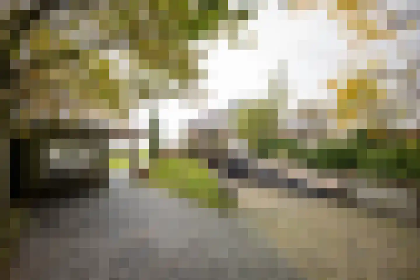 Weersterweg 10 A Wons thumbnail 37