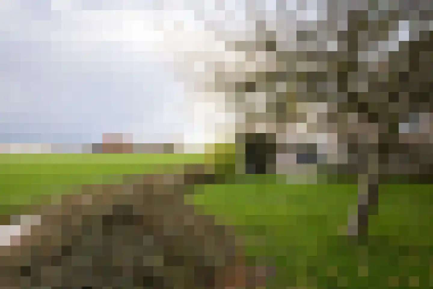 Weersterweg 10 A Wons thumbnail 55