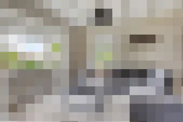 Weersterweg 12 Wons thumbnail 7