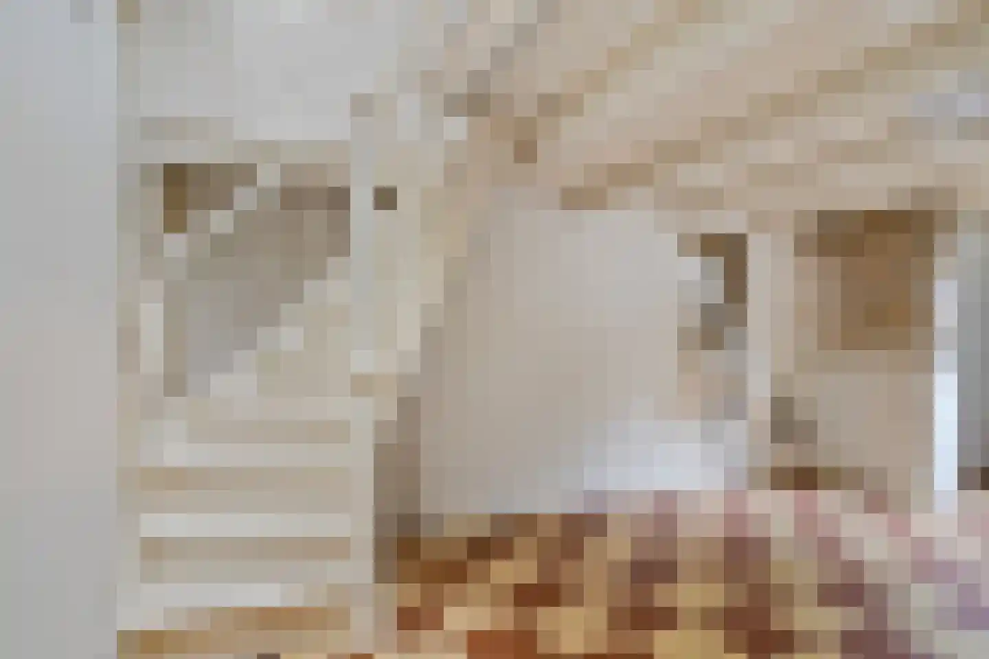 Weerstraat 15 Tiel thumbnail 10