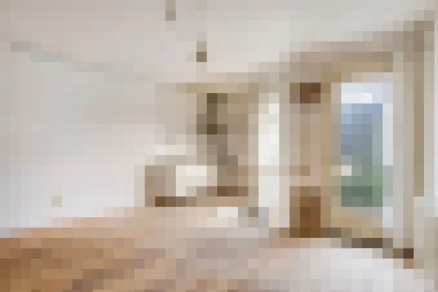 Weerstraat 15 Tiel thumbnail 13